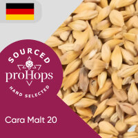 Cara malt 20 Big Bag