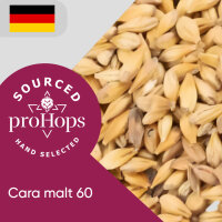 Cara malt  60 Big Bag